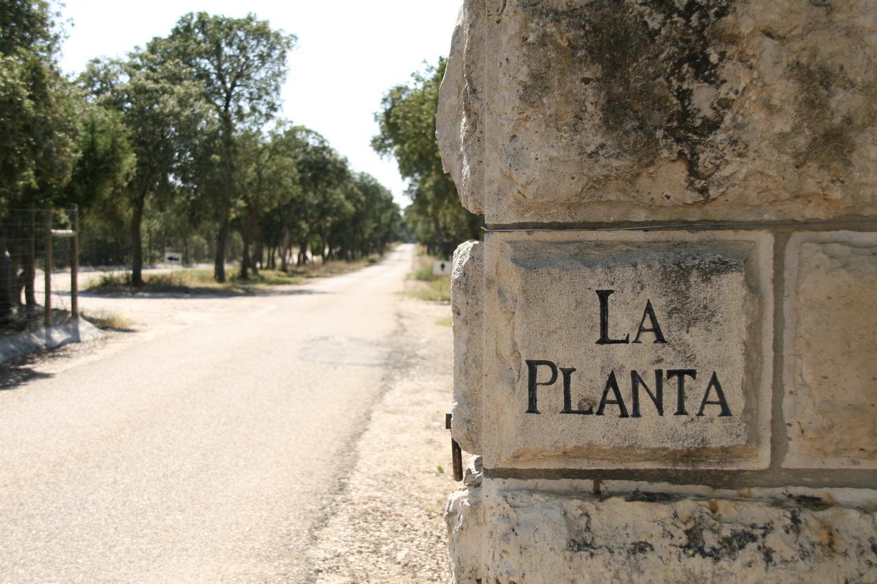 מלון קינטנייה דה אונסימו La Casita De La Planta מראה חיצוני תמונה
